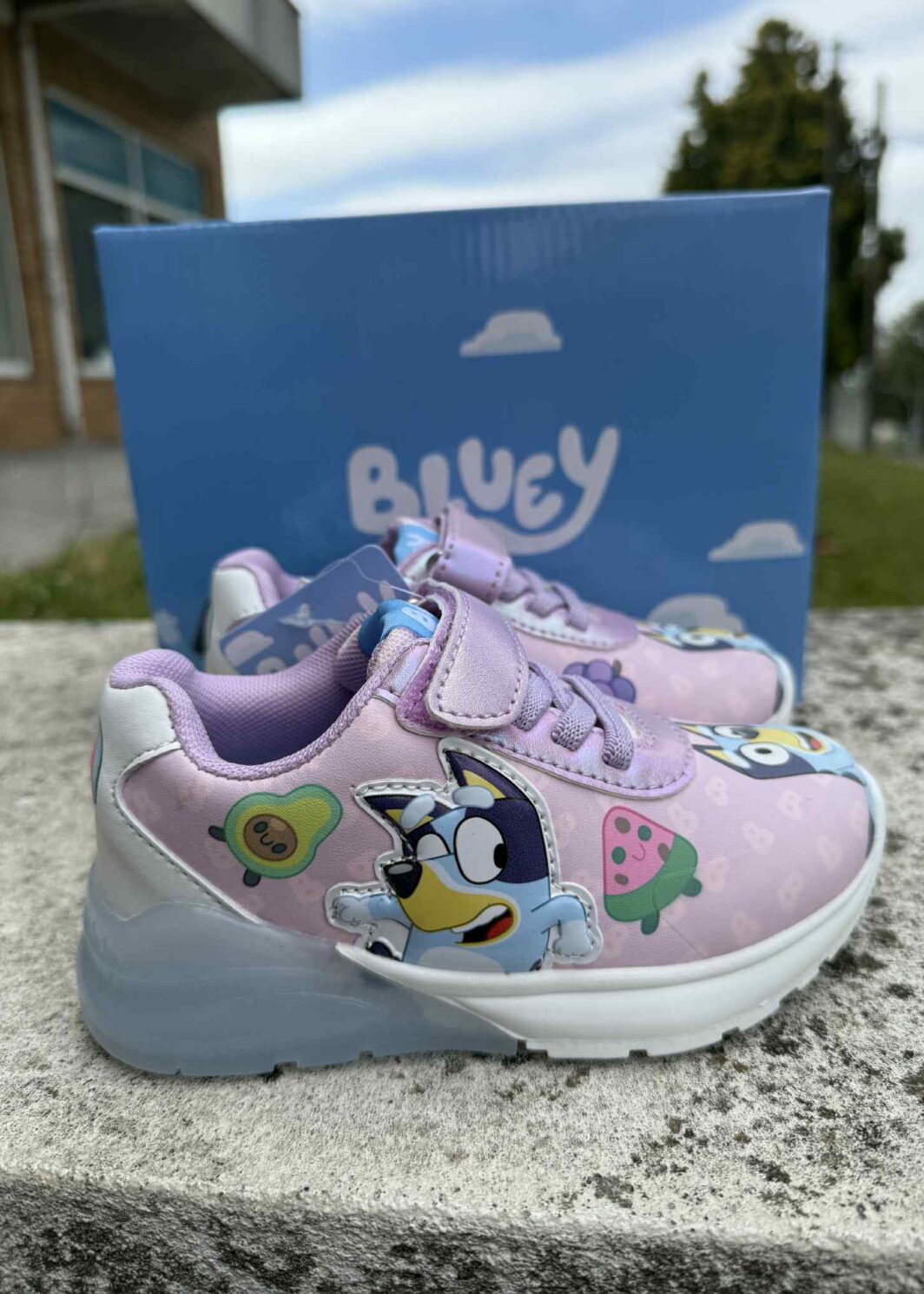SAPATILHA SOLA TPR COM LUZES BLUEY