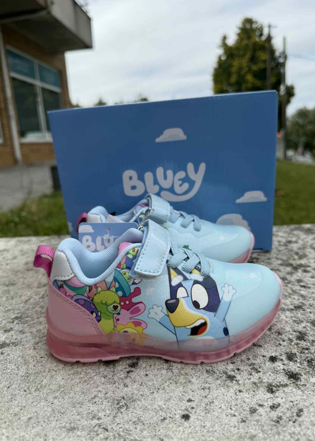 SAPATILHA SOLA TPR COM LUZES BLUEY
