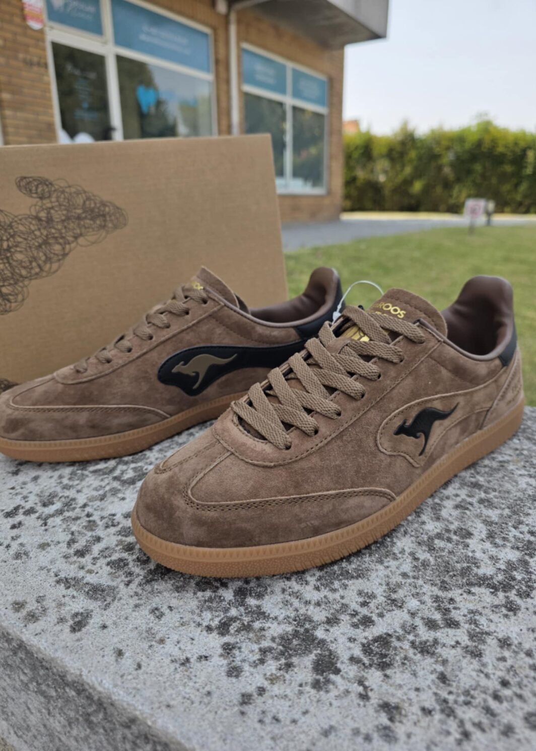 Sapatilha Masculina Kangaroos Castanho